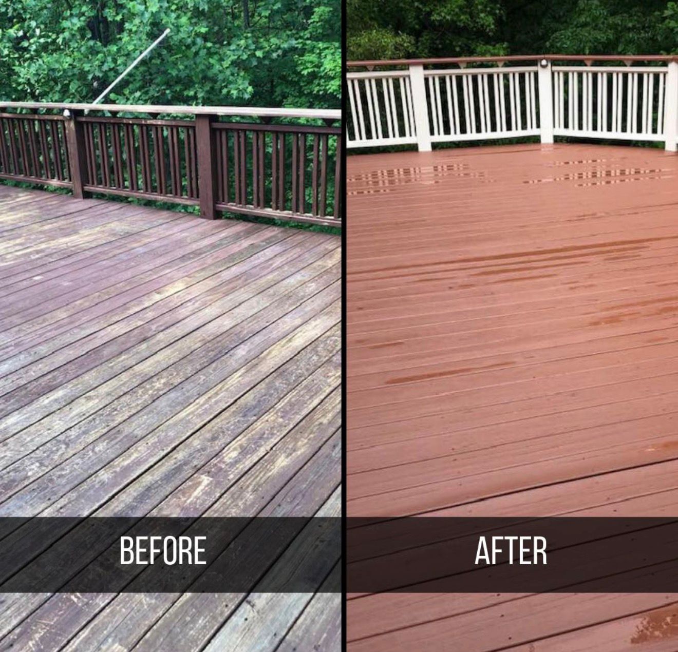 Fence Painting